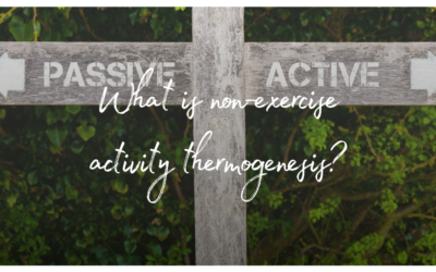 What is non-exercise activity thermogenesis (N.E.A.T.)?